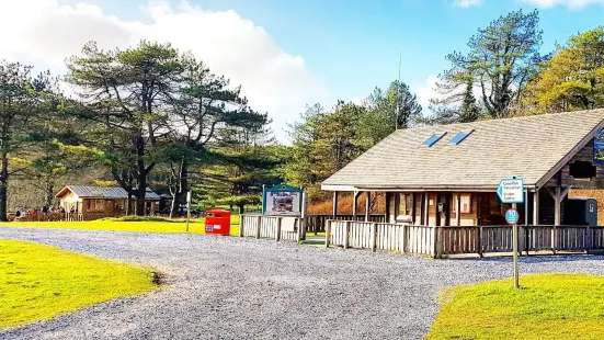 Pembrey Country Park