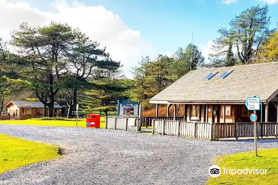 Pembrey Country Park