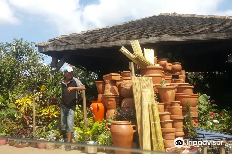 Antananarivo Flower Market