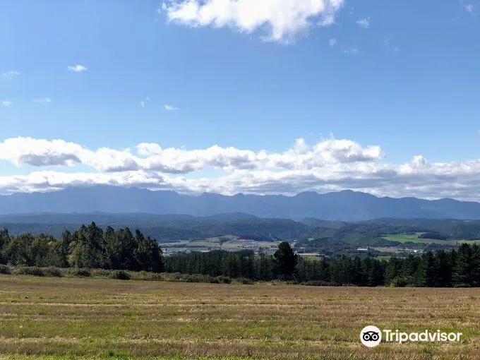 3_富良野果醬園共濟農場