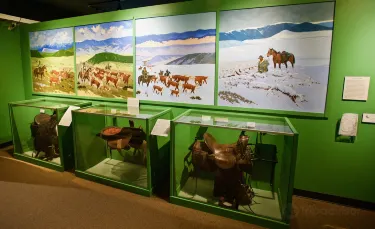 Buffalo
