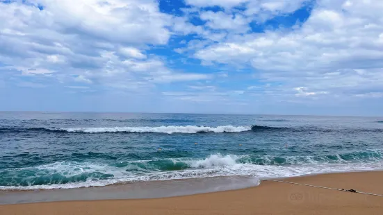 江門海邊