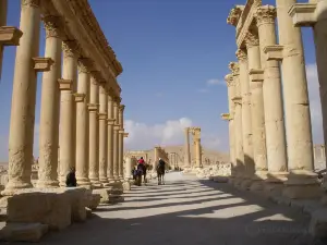 Ruins of Palmyra
