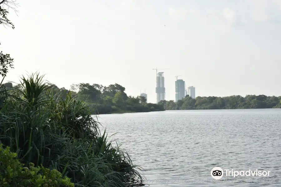 Beddagana Wetland Park