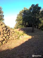 Area Archeologica Etrusca di Poggio Tondo