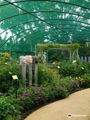 Bribie Island Butterfly House