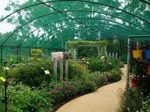 Bribie Island Butterfly House