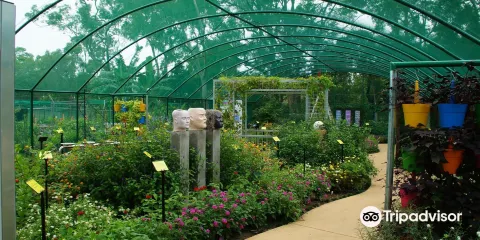 Bribie Island Butterfly House