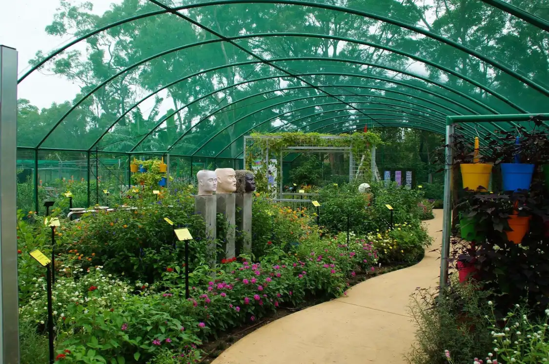 Hotels near Bribie Island Butterfly House