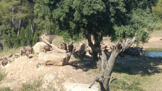 Observatorio de aves Mas de Bunyol