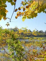 Arboretum du Chêne-Vert