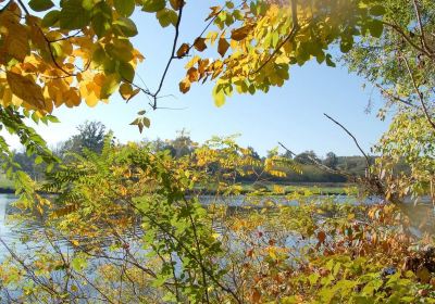 Arboretum du Chene-Vert