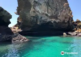 Galapagos Alternative