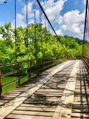 Swinging Bridge