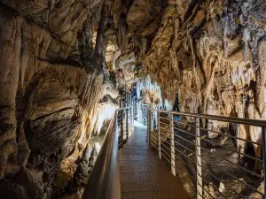 Antro del Corchia Levigliani