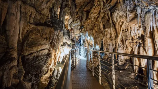 Grotta turistica Antro del Corchia