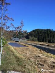 St. Martins Harbour