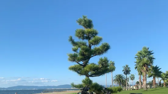 Shiroya Seaside Park