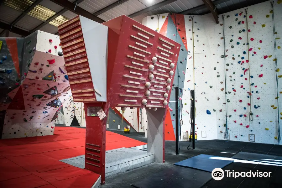 The Indy Climbing Wall