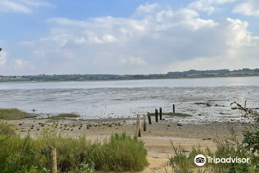 Essex Wildlife Trust Fingringhoe Wick Visitor Centre