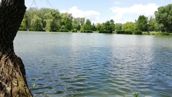 Boating Lake