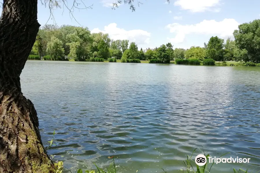 Boating Lake