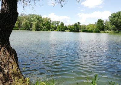 Boating Lake