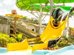 Wet 'N' Wild Waterworld