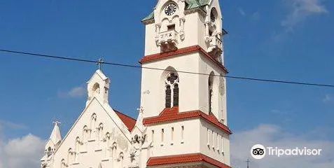 Holy Mother Virgins Nativity Cathedral