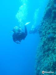 Alonissos Blue Dream Dive Center