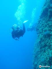 Alonissos Blue Dream Diving Center