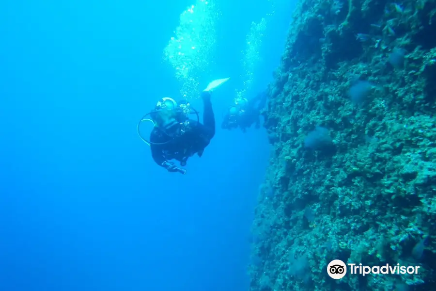 Alonissos Blue Dream Diving Center