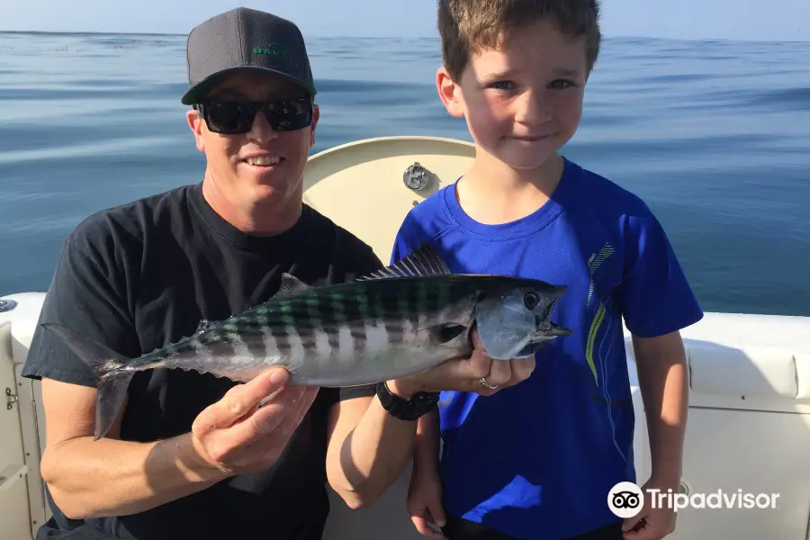 Reel to Reef Charters