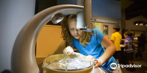 Fort Bend Children's Discovery Center