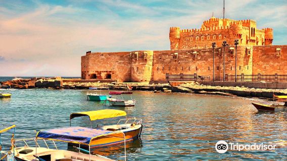 Alexandria + Pompey's Pillar + Bibliotheca Alexandrina + Citadel of Qaitbay Day Tour