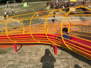 Suwa Park