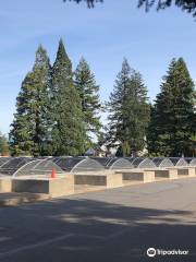 Bonneville Hatchery