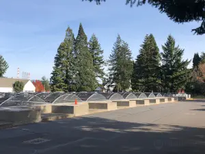 Bonneville Fish Hatchery