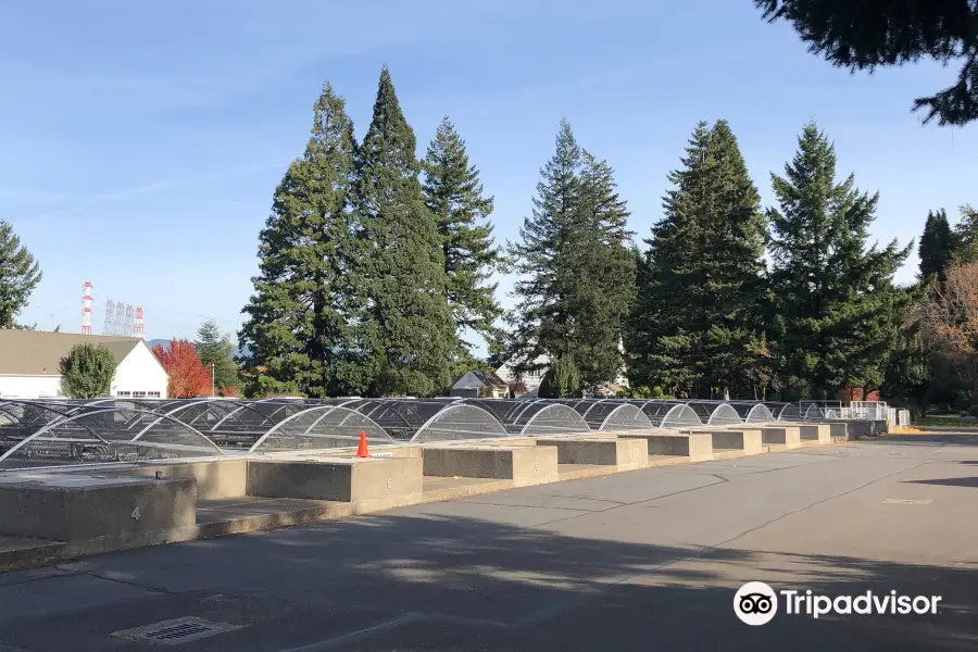 Bonneville Fish Hatchery