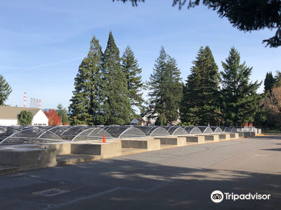 Bonneville Fish Hatchery