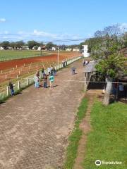 Hipodromo do Amorim