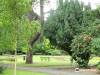 Palmeston wb 2025