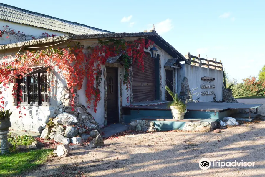 Bodega Familia Moizo