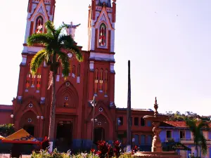 Alejandro Humbolt Botanical Garden