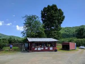 Spring Valley Orchard