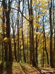 Kennekuk County Park