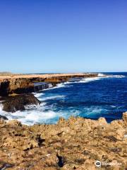 Carnarvon Blowholes