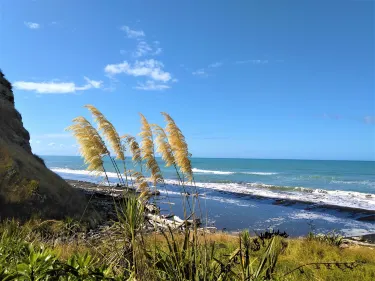 Kai Iwi Beach