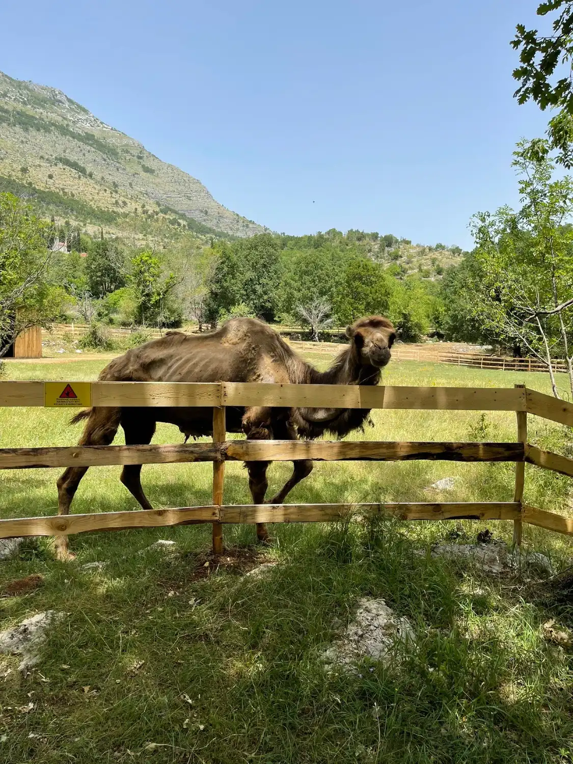Hotels in der Nähe von Vranici Equestrian Club and Mini Zoo