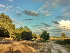 Река Десна